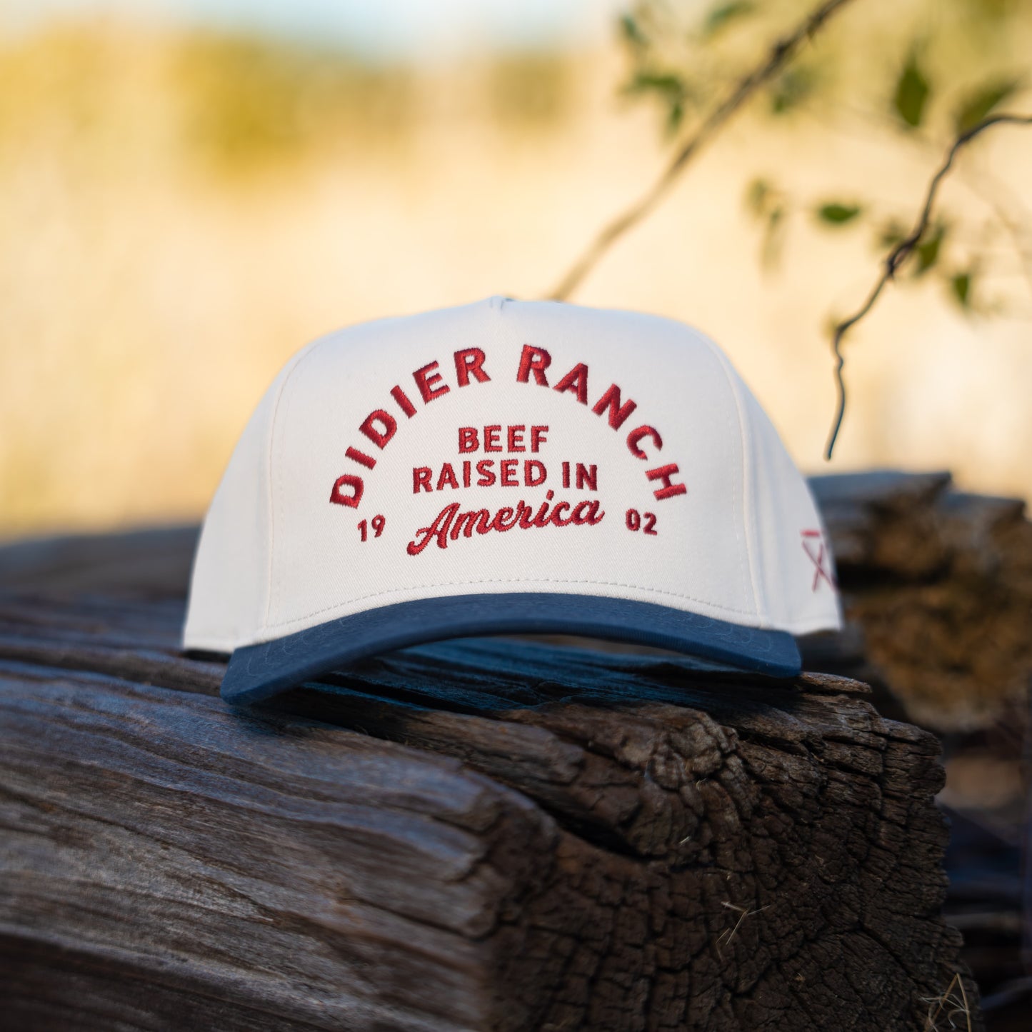 
                  
                    Didier Ranch's America Snapback
                  
                