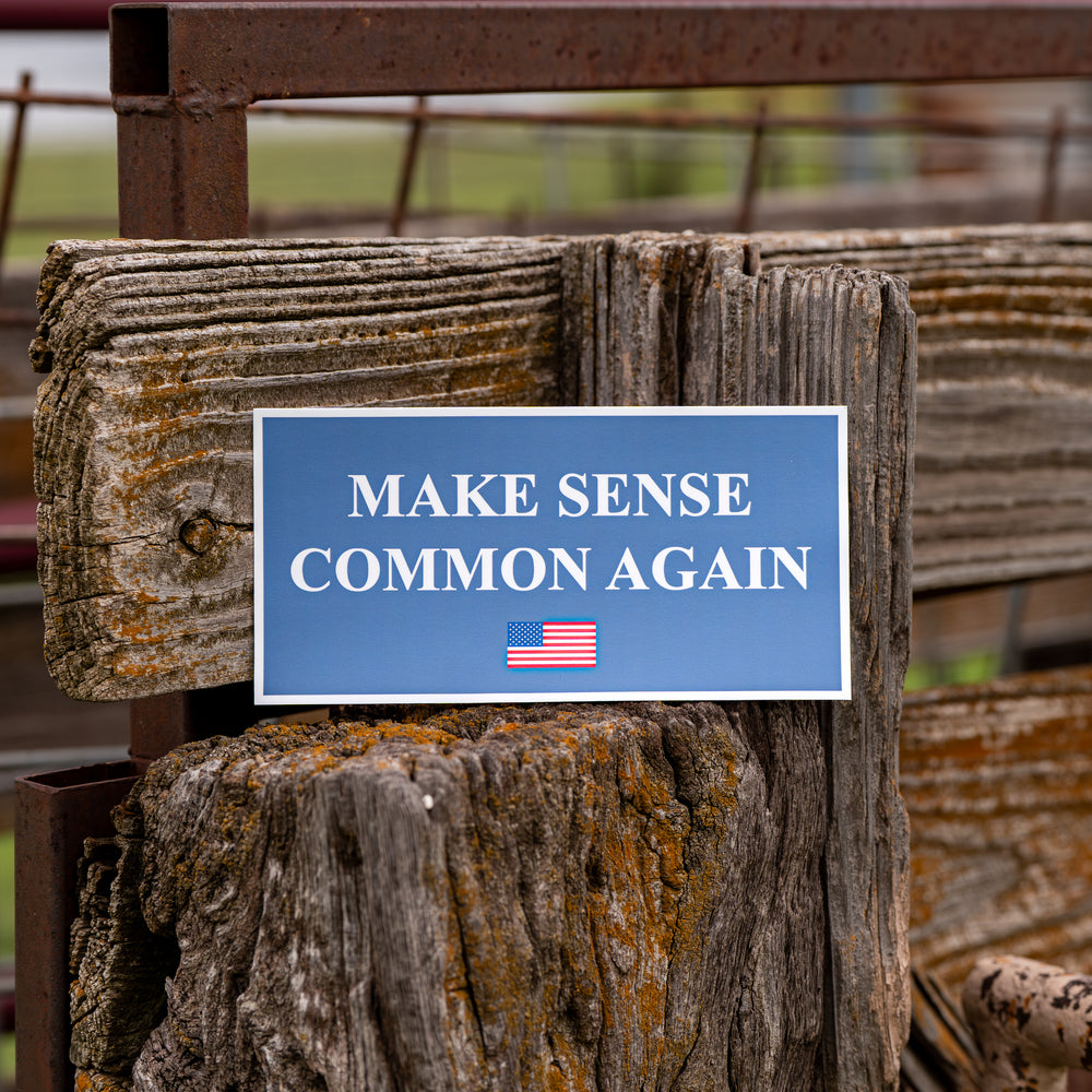 Make Sense Common Again Bumper Sticker